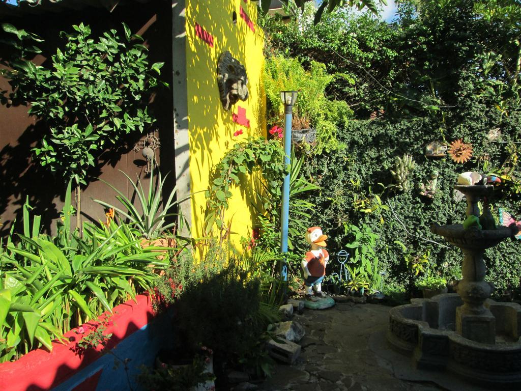 Hotel San Mateo San Salvador Exterior photo